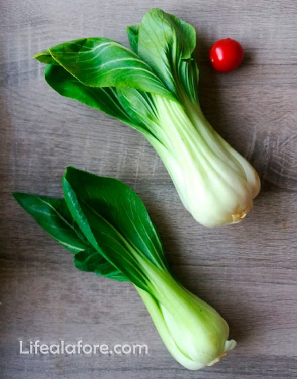 pak-choi-1